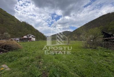 Teren Construcții intravilan de 1000 mp, în Groș - 3