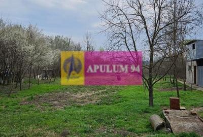 GIURGIU - COM. BUCSANI (SAT OBEDENI) CASA 2 CAM DE VANZARE - 16