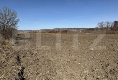Teren de 4000 mp, în Hereclean - 2