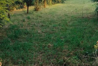 Teren în Măgurele - 4