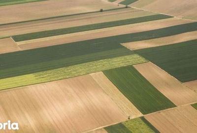 Teren de 92000 mp, în Târgușor - 1