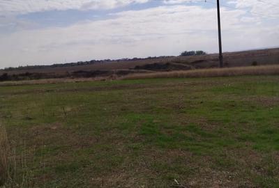 Teren Construcții intravilan de 800 mp, în Malu Mare - 2