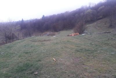 Spațiu comercial, în Mureșenii Bârgăului - 4