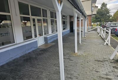 Spațiu comercial, de 190 mp, în Lugoj - 1