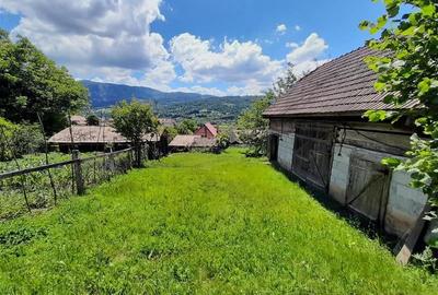 Vanzare casa cu anexe si 5500 mp teren, Valea Ariesului, Salciua - 4