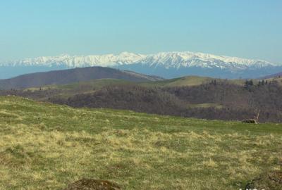 Teren de 10632 mp, în Paltin