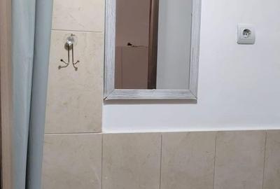 7 Noiembrie - Inchiriere apartament 1 camera - B-dul 22 Decembrie 1989 - 5