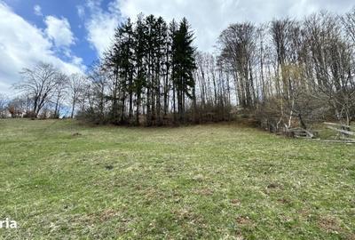 Teren de 6996 mp, în Valea Mare - 6