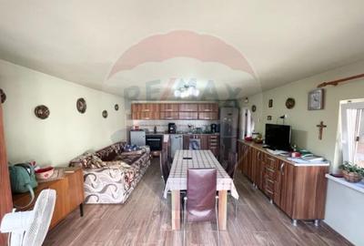 Casa str. Progresului , Sebes, destinatie : uni/multifam... - 8