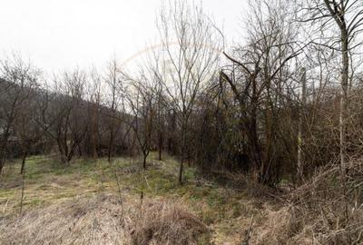 Teren de vanzare 1221 mp in Budeasa Mica, zona lini? - 3