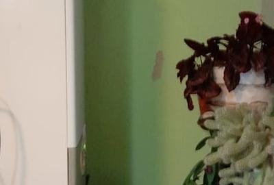 Apartament cu 4 camere în 22 Decembrie - 5