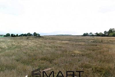 Teren de 1235 mp, în Turnișor