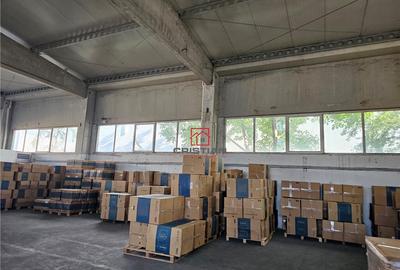 Depozit/hala/spatiu industrial Domnesti - Clinceni - Bragad - 13