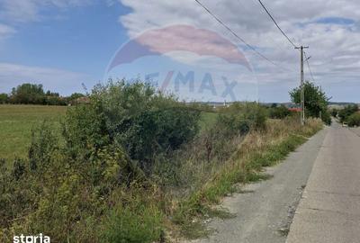 Teren de 9505 mp, în Girișu de Criș - 4