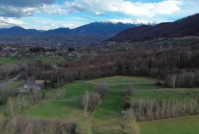 Spațiu comercial, în Tohănița - 3