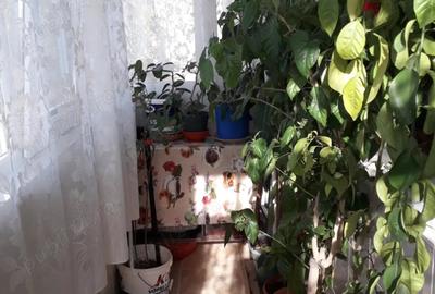 Apartament cu 3 camere decomandat în 2 Moldoveni - 5