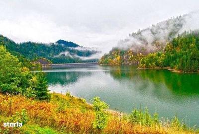 Spațiu comercial, în Colibița - 10