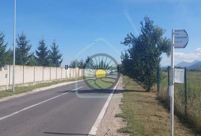 TEREN STUPINI BRASOV - 11