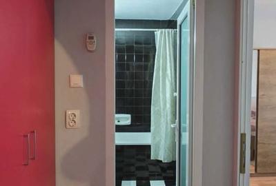 Apartament cu 2 camere decomandat în Rogerius - 17