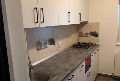 Apartament cu 2 camere decomandat în Gorjului - 8