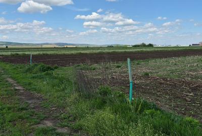Teren de 1250 mp, în Stolniceni-Prăjescu - 2