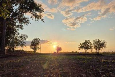 Teren de 2747 mp, în Feleacu - 3