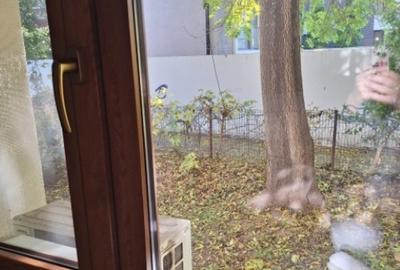 Inchiriez garsoniera decomandata, 40mp, Piata Alba Iulia, 340euro - 21