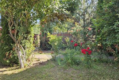 Casa / Vila cu 6 camere de vanzare - CORNU - 7