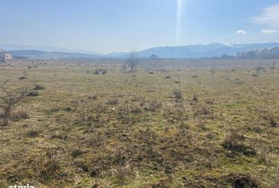 Teren de 1000 mp, în Central