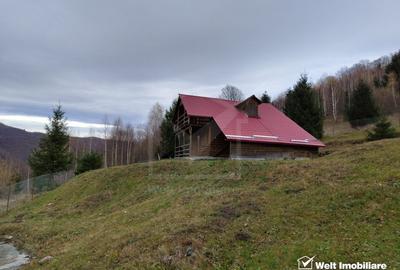 Oportunitate unica! 5ha + 2 cabane de vacanta in Valea Ierii - 4
