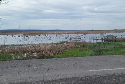 Teren intravilan 769 mp vis-a-vis baltă,în Comana,GR.Deschidere 25 ml la  asfalt Teren intravilan 769 mp vis-a-vis baltă,în Comana,GR.Deschidere 25 ml la  asfalt - 4