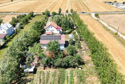 Casa+Laborator+ Teren 12.700 mp + casa de vacanta - Bolin... - 3