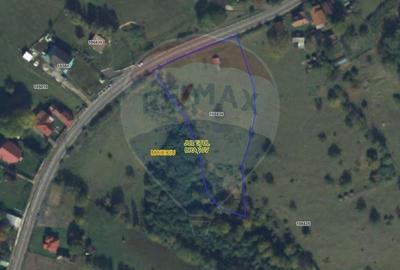 Teren Construcții intravilan de 2847 mp, în Moieciu de Jos - 6