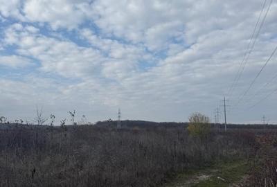 Teren Construcții intravilan de 100000 mp, în Exterior Est - 2