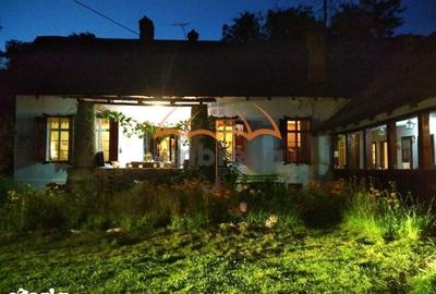 Casă cu 7 camere cu Teren 9948 Mp în Arefu - 11