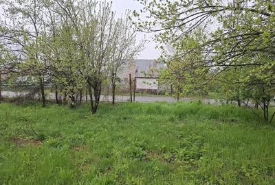 Teren de 3000 mp, în Predeal - 9