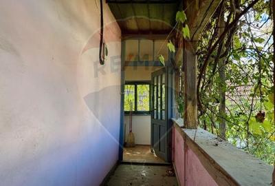 Casă individuală cu 2 camere cu Teren 1449 Mp în Ocna Șugatag - 4