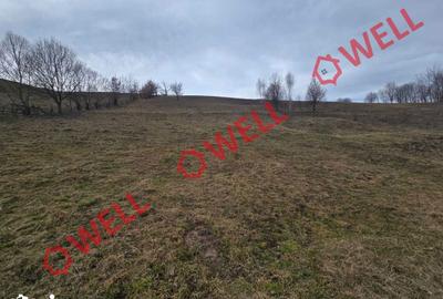 Teren de 4200 mp, în Barcani - 2