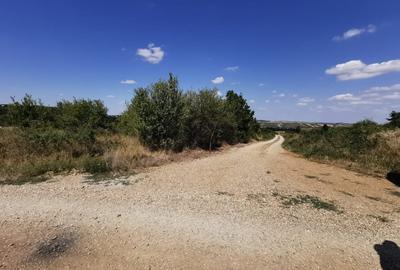 Teren intravilan de vanzare, 3.500 mp, cu front stradal de 21,5 ml - 5