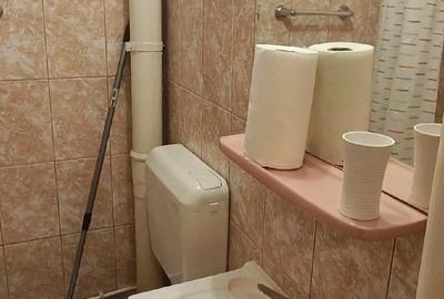 Garsonieră semidecomandată în Tineretului - 4