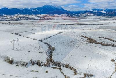 Teren agricol extravilan de 8329 mp, în Glăjărie - 11