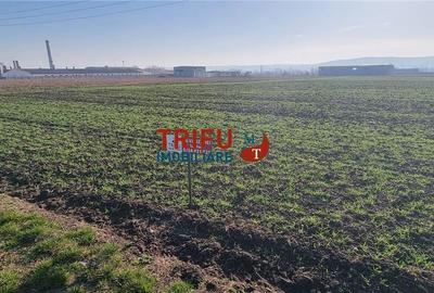 Teren de 11600 mp, în Sântimbru - 4