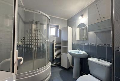 Apartament cu 3 camere decomandat în Ostroveni - 11