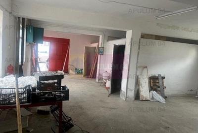 Spatiu productie Cornetu- central - 10