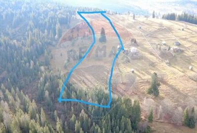 Teren intravilan 26232m.p. Dorna-Arini / Cozane?ti - 3