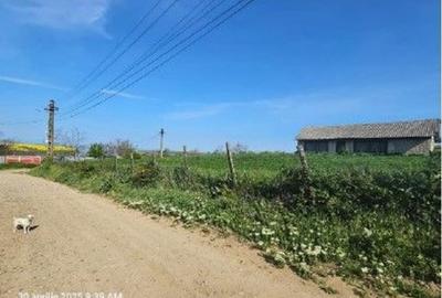 Teren Bradesti, ID: R2805453 - 2