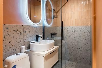 Cismigiu  Apartament 2 camere de vanzare - 4