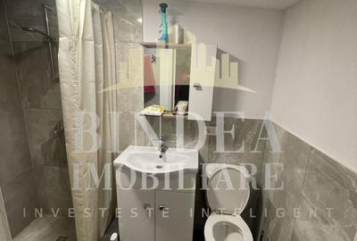 Spațiu industrial, de 600 mp, în Giarmata - 10