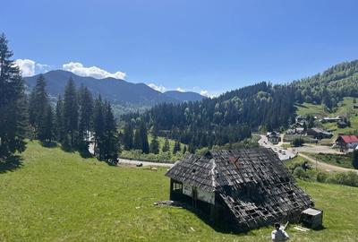 Spațiu comercial, în Piatra - 5