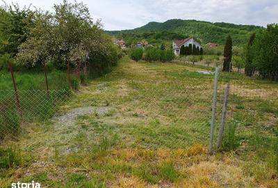 Teren de 1000 mp, în Viișoara - 2